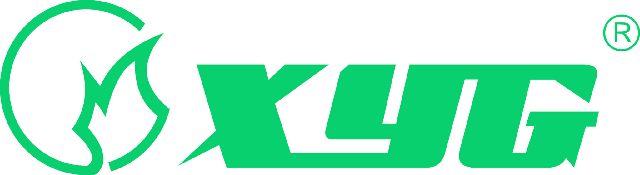 شركة XYG